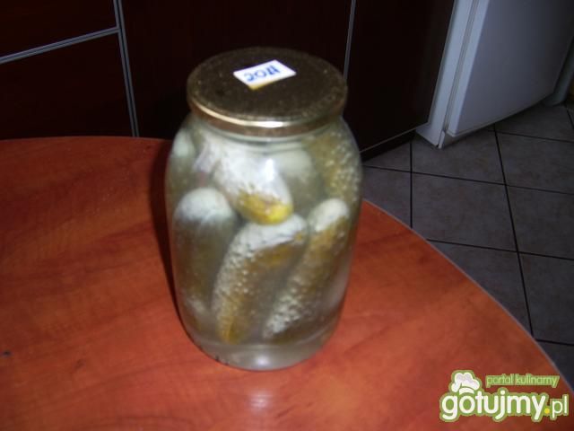 Ogórki kiszone  Ogórki kiszone
