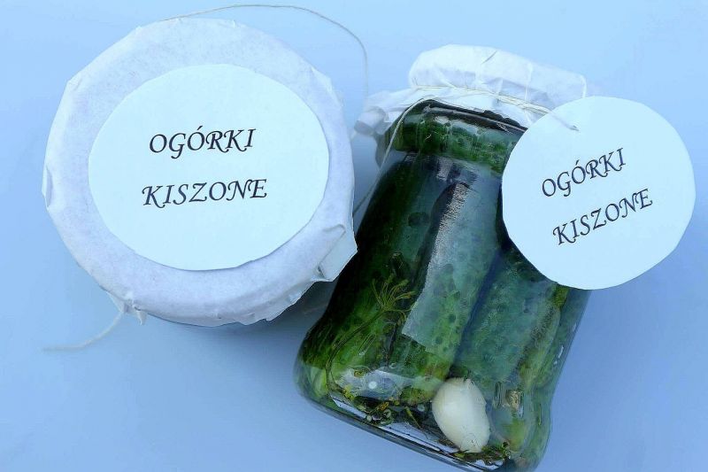 Ogórki kiszone a`la Igraszki Losu Ogórki kiszone a`la Igraszki Losu