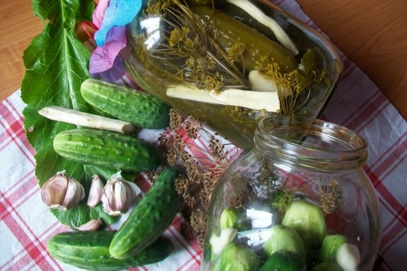 Ogórki kiszone ( i małosolne)
