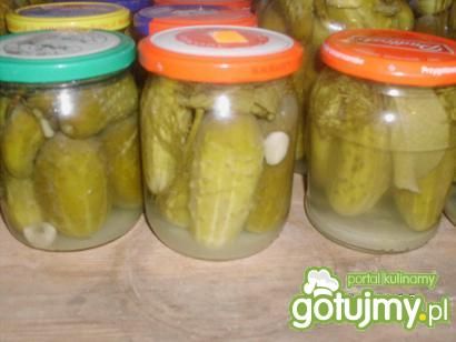 Ogórki kiszone Moniczki
