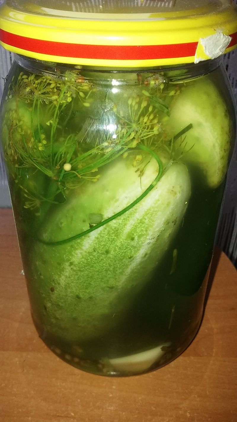 Ogórki kiszone "na gorąco" Ogórki kiszone "na gorąco"