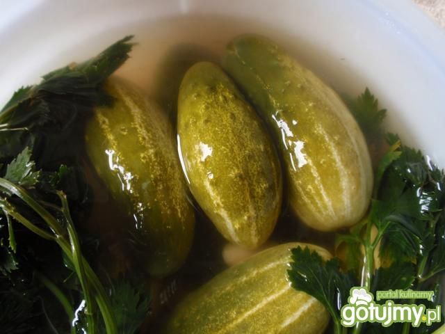 Ogórki kiszone na szybko z selerem