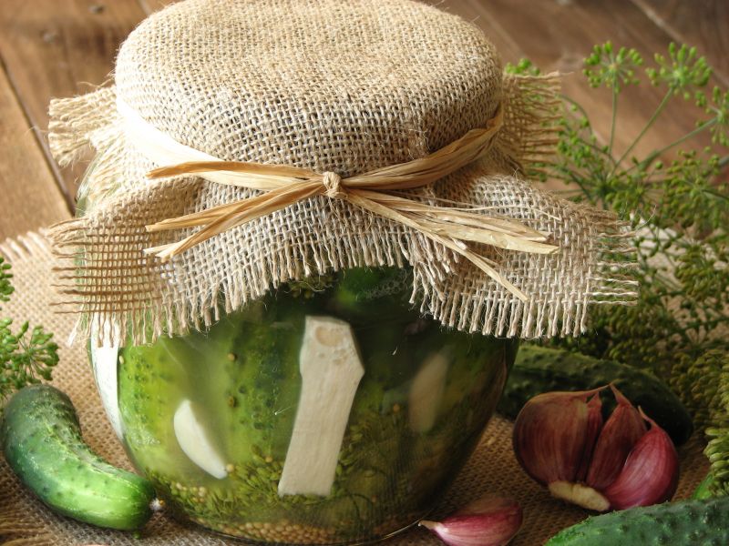 Ogórki kiszone na zimę Ogórki kiszone na zimę