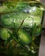 ogórki kiszone na zime ogórki kiszone na zime