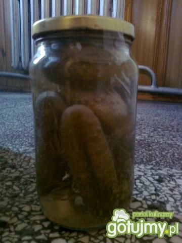 Ogórki kiszone po polsku