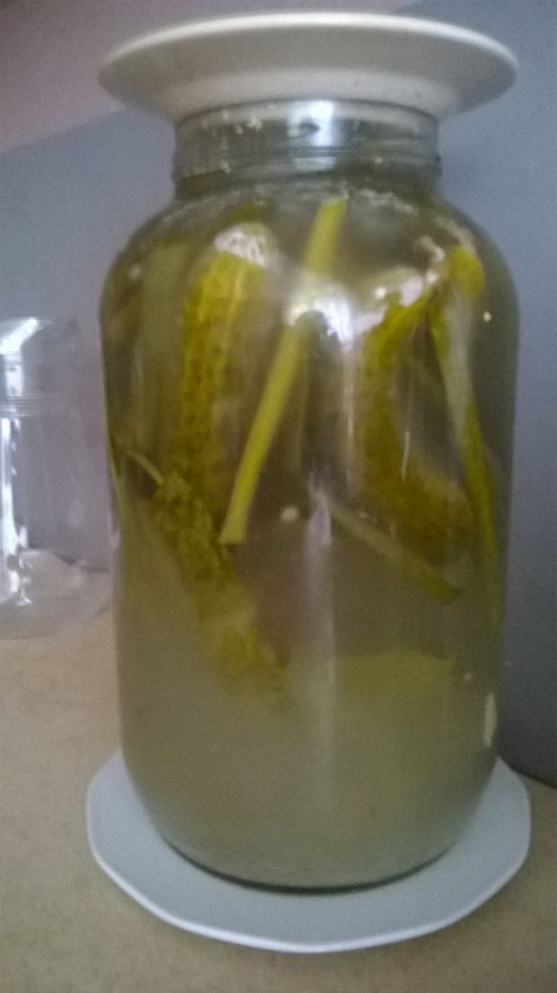 Ogórki kiszone w tydzień