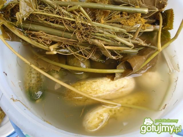 Ogórki kiszone w  wiaderku