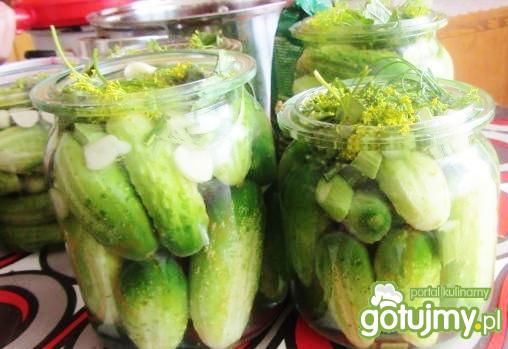 Ogórki kiszone wg eliza135