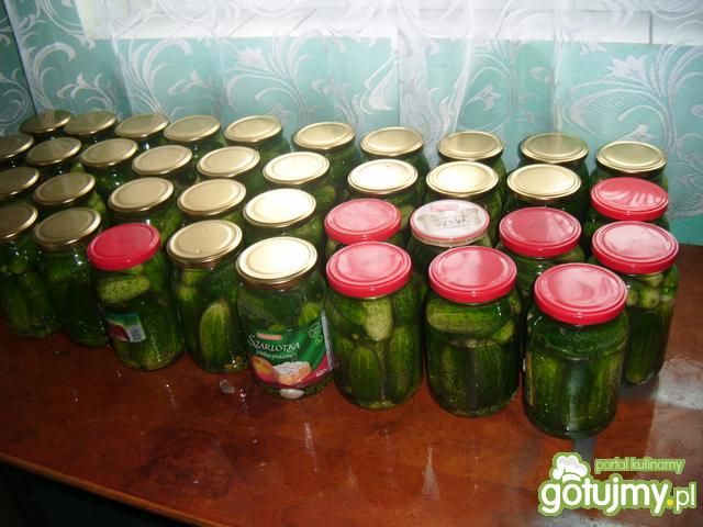 Ogórki kiszone wg gosia239  Ogórki kiszone wg gosia239