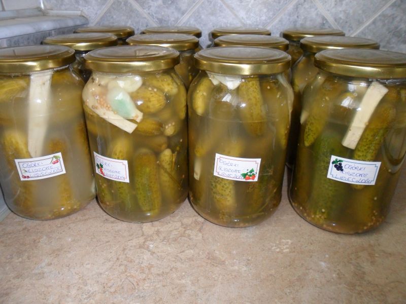 ogórki kiszone z gorczycą