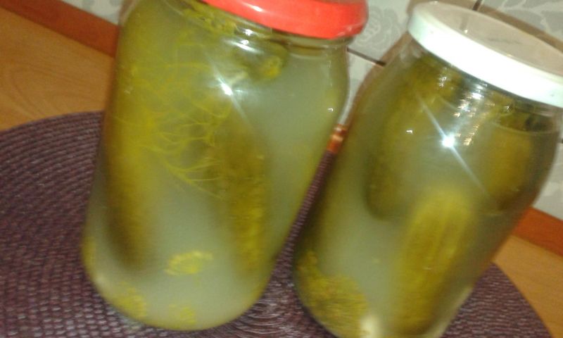Ogórki kiszone z przepisu mojej mamy