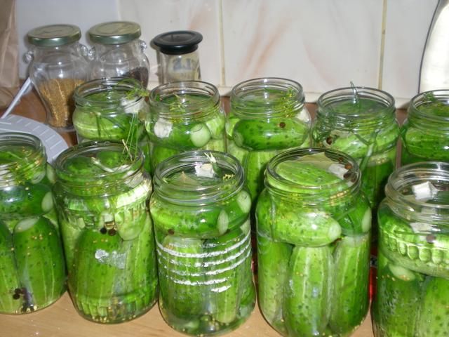 Ogórki konserwowe