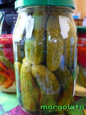 Ogórki konserwowe