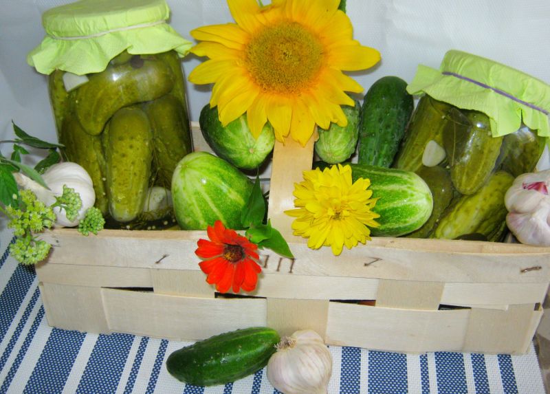 Ogórki konserwowe Ogórki konserwowe