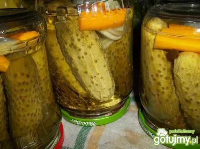 Ogórki konserwowe.1