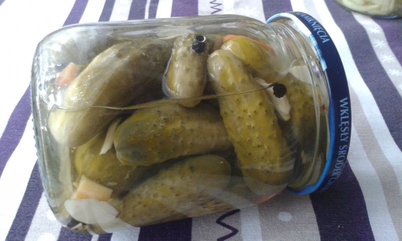 Ogórki korniszony z miodem Ogórki korniszony z miodem