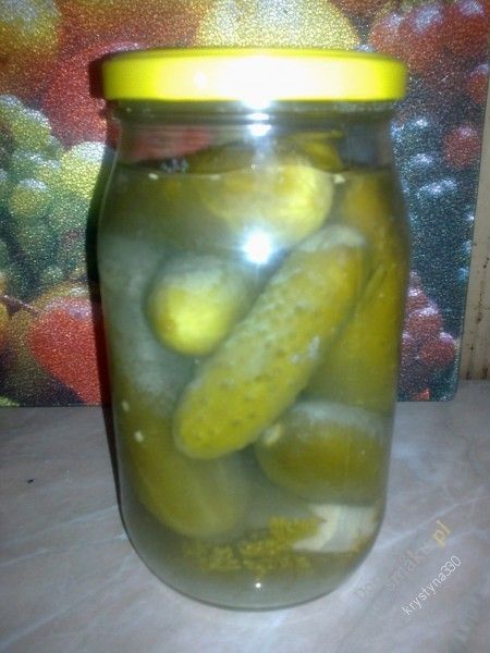Ogórki kwaszone wg Krystyny  Ogórki kwaszone wg Krystyny