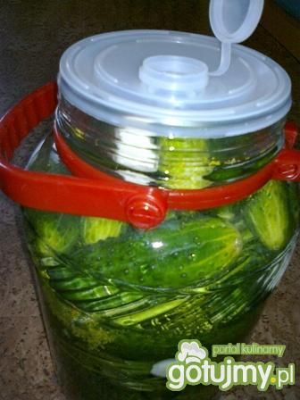 Ogórki małosolne.