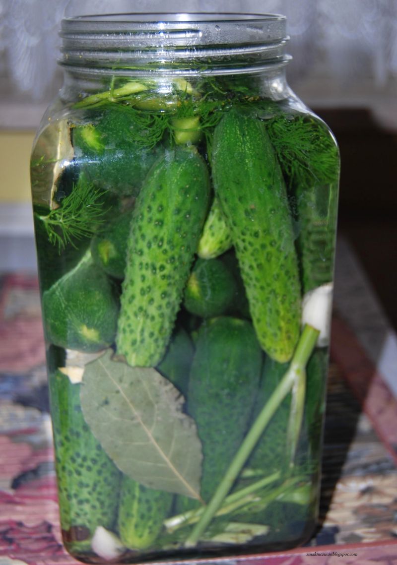 Ogórki małosolne