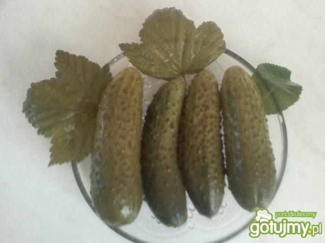 Ogórki małosolne Ogórki małosolne