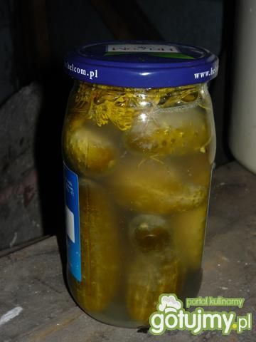 Ogórki małosolne Ogórki małosolne