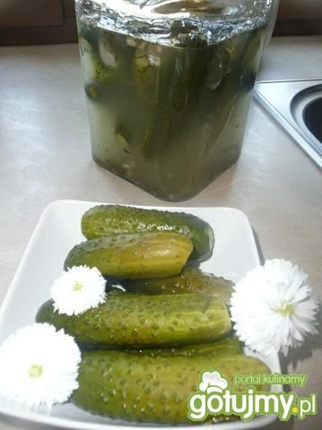 Ogórki małosolne 9 Ogórki małosolne 9