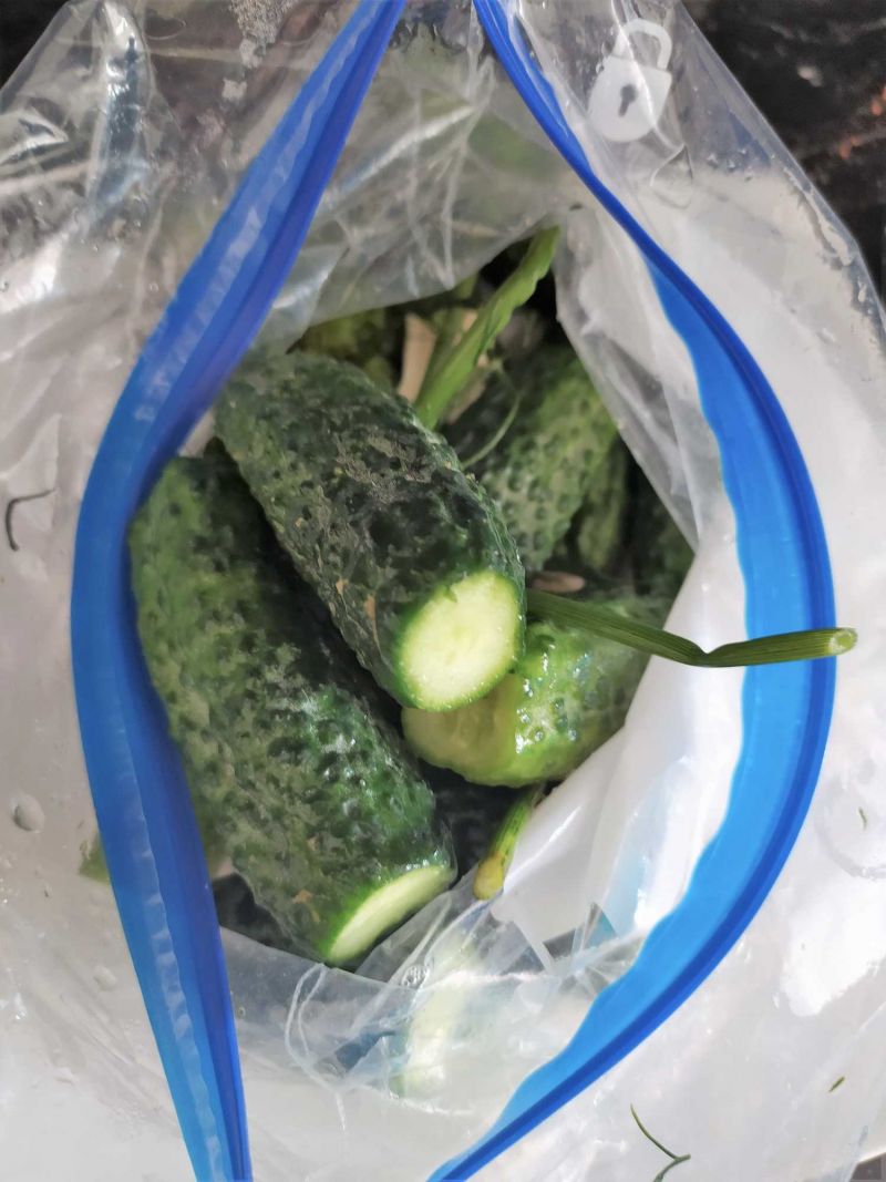 Ogórki małosolne (na sucho)