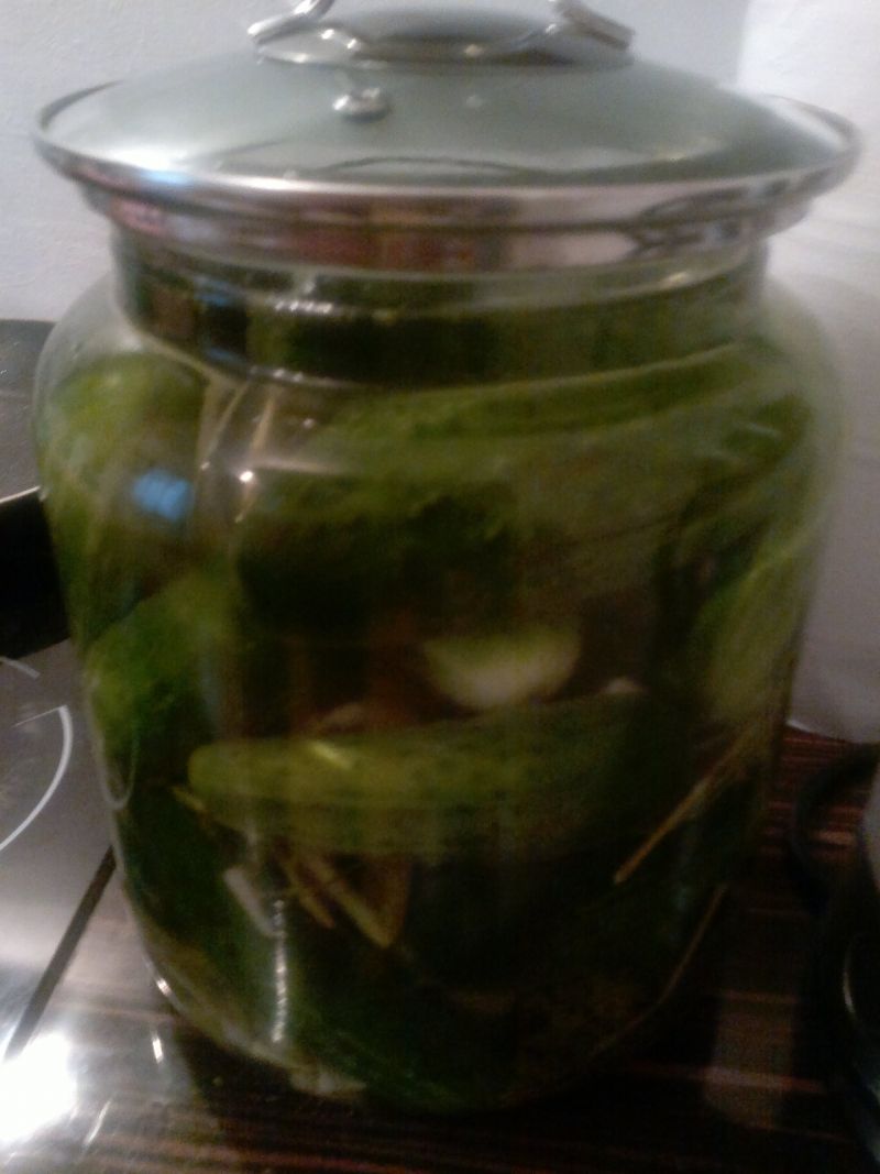 Ogórki małosolne niezła przegryzka   