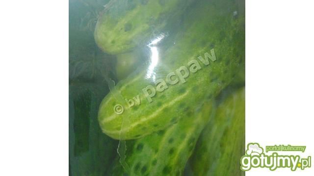 Ogórki małosolne – tradycyjne  Ogórki małosolne – tradycyjne