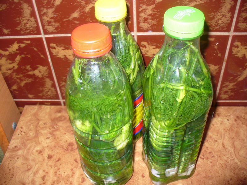 Ogórki małosolne w bytelkach