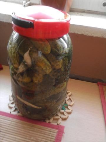 Ogórki małosolne w\g Dorotki Ogórki małosolne w\g Dorotki