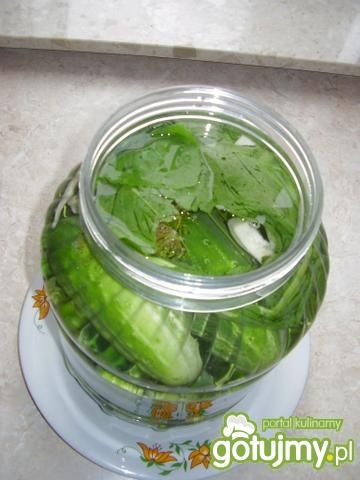 Ogórki małosolne wg Eweliny