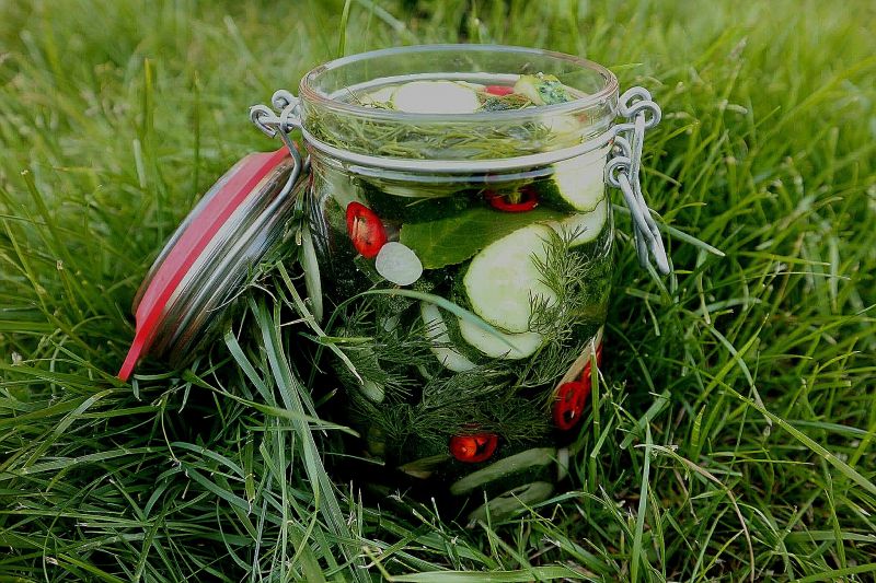 Ogórki małosolne z chilli i miodem Ogórki małosolne z chilli i miodem