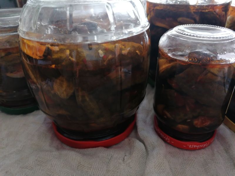 Ogórki meksykańskie Ogórki meksykańskie