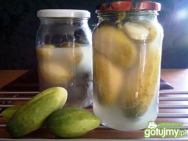 Ogórki na szybkie zużycie Ogórki na szybkie zużycie