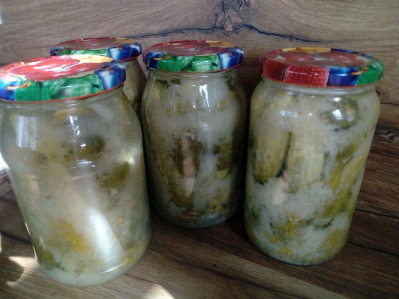 Ogórki w musztardzie