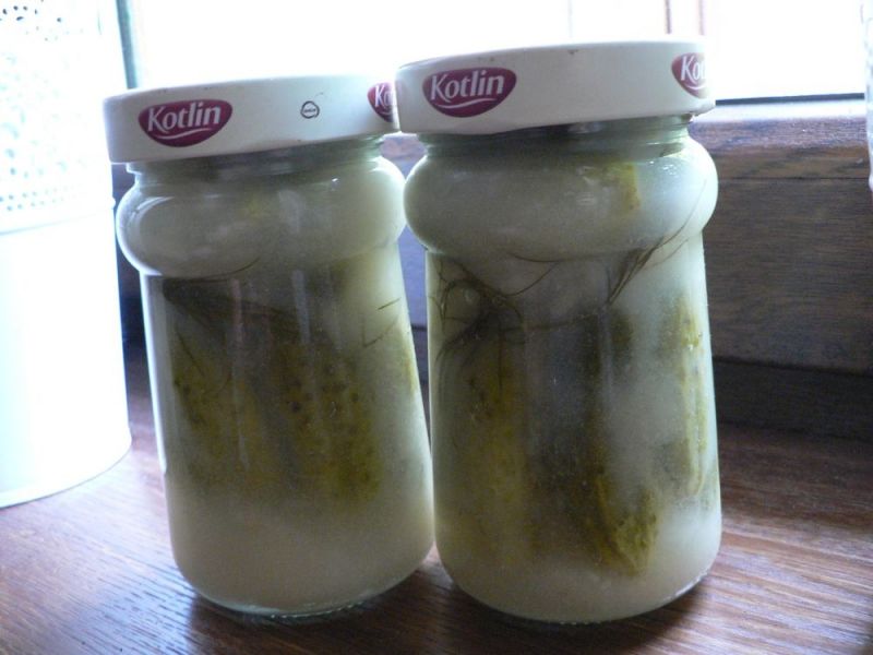 Ogórki w musztardzie chrzanowej 
