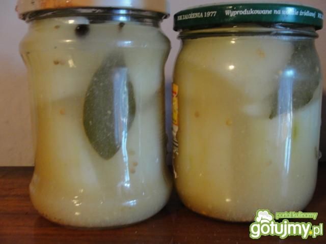 Ogórki w zalewie musztardowej alaaa Ogórki w zalewie musztardowej alaaa