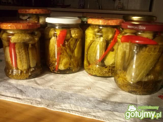 Ogórki z chili 4