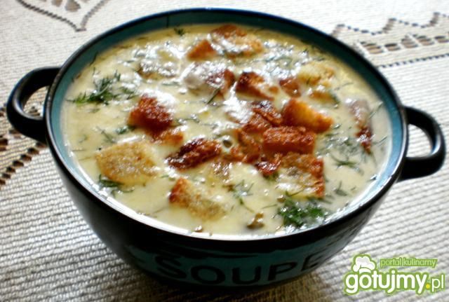 Ogórkowa krem z grzankami