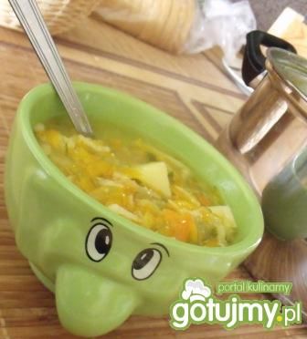 Ogórkowa z małosolnych