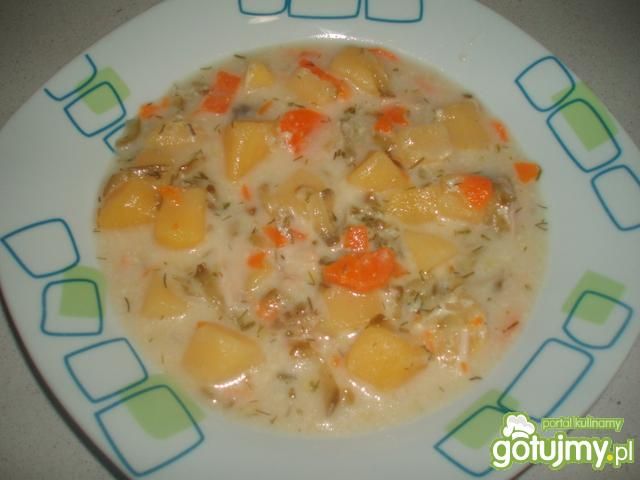 ogórkowa ze świeżego i kiszonego ogórka