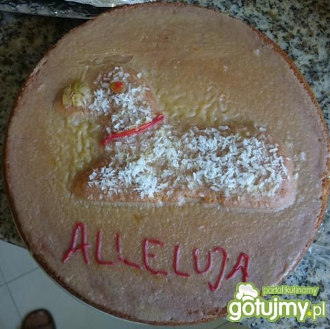 okrągłe ciasto z adwokatem