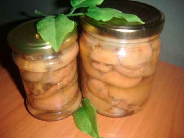 Opieńki marynowane Opieńki marynowane