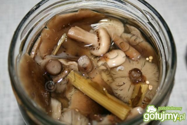Opieńki marynowane  Opieńki marynowane