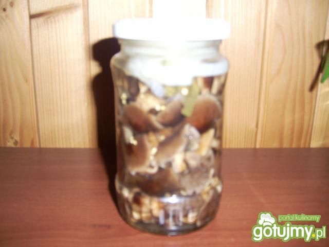 Opieńki marynowane wg Loli