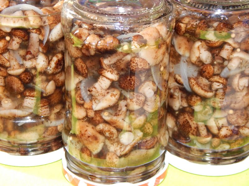 Opieńki w lekkiej marynacie z selerem naciowym