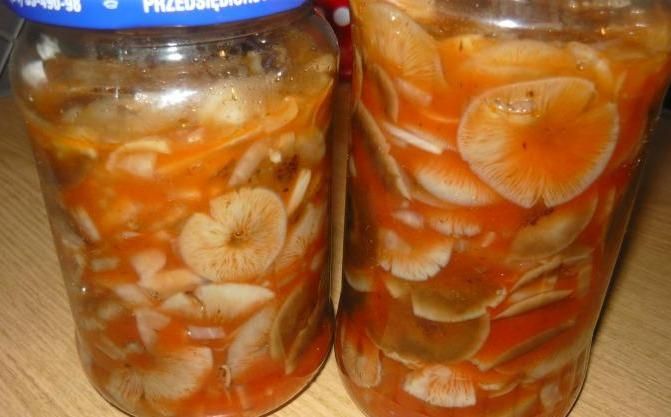Opinki w słoikach w sosie 