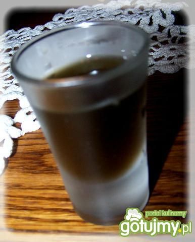 Orzechówka na miodzie.