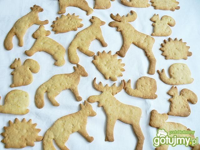 Orzechowo pomarańczowe ciacha zwierzaki Orzechowo pomarańczowe ciacha zwierzaki